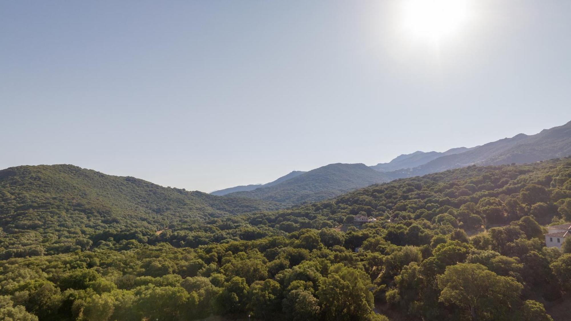 Apartmán Casa Lea Sollacaro Exteriér fotografie